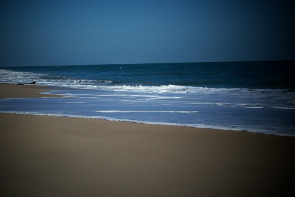 Serenity
