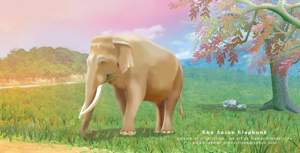 the asian elephant