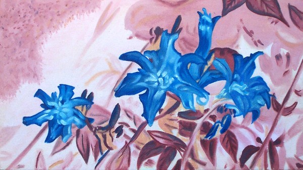 Negative tiger Lilies