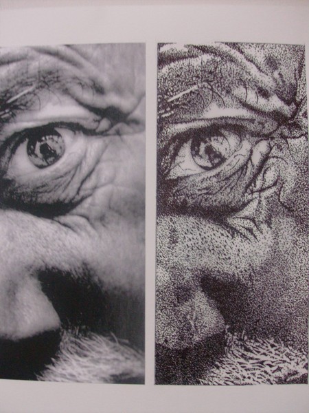 The Eye