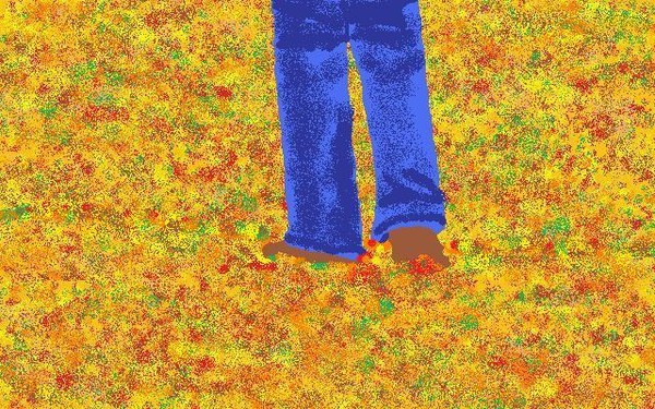 Autumn Walk