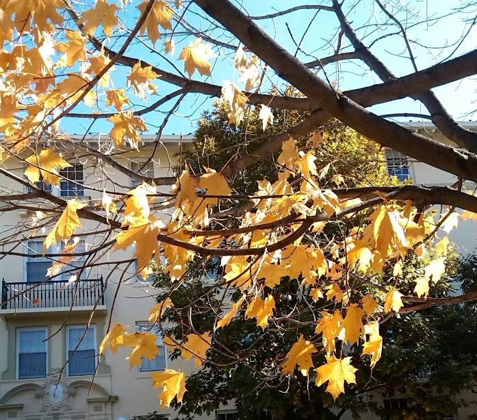 Still Hanging On