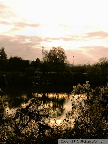 December reflections