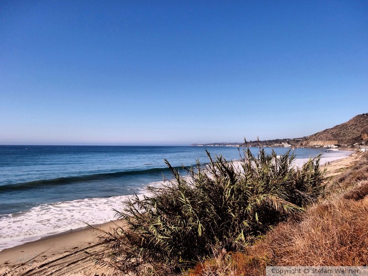 Pacific Coast