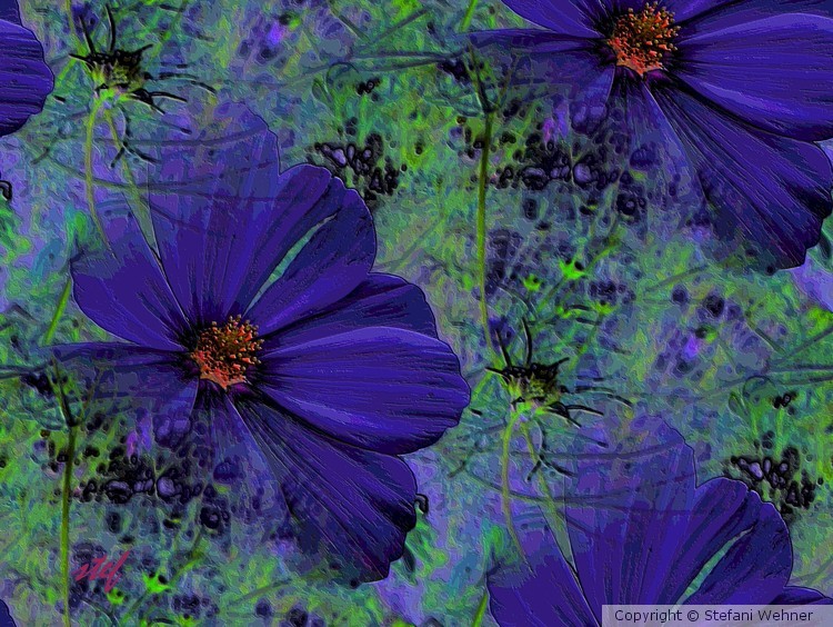 midnightmeadow