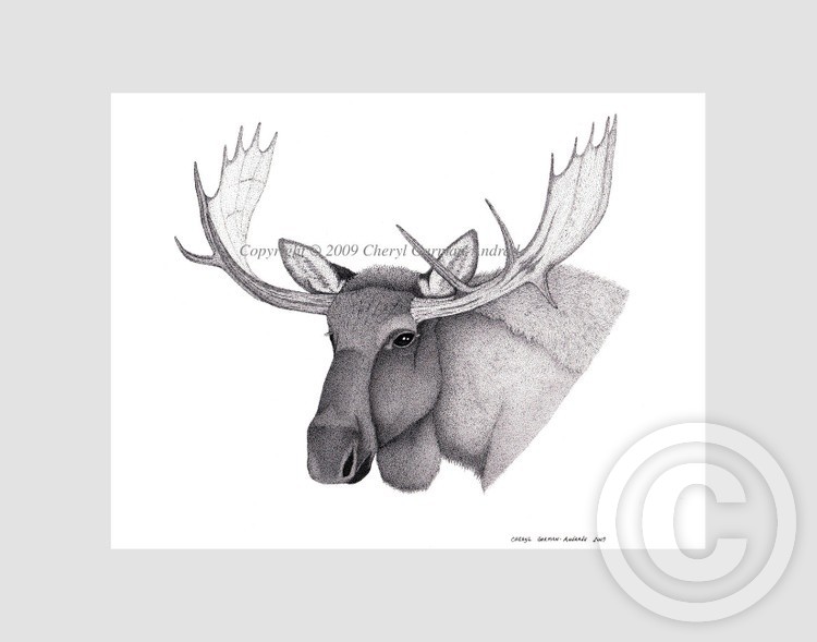 Moose Pen and Ink Stippling