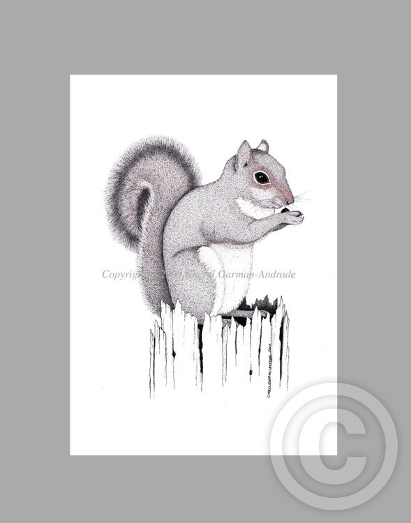Gray Squirrel Ink Pointillism