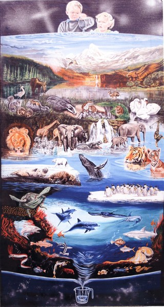 The Water Cycle