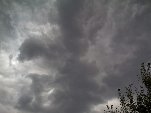 august swirls