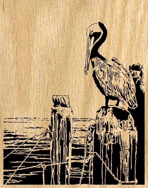 Brown Pelican