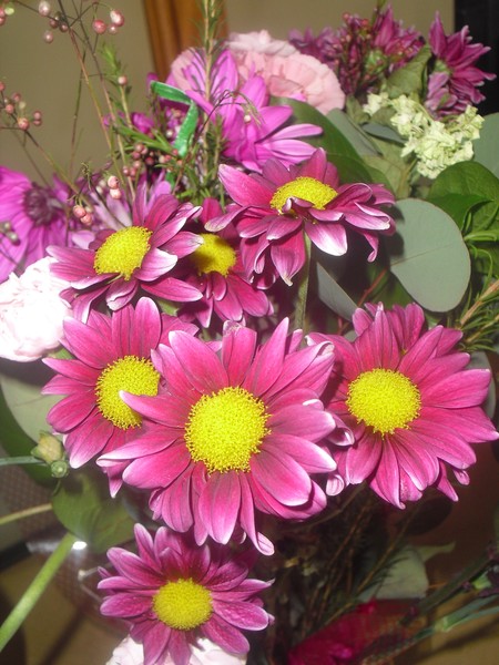  Happy Birthday Dear Sharon!