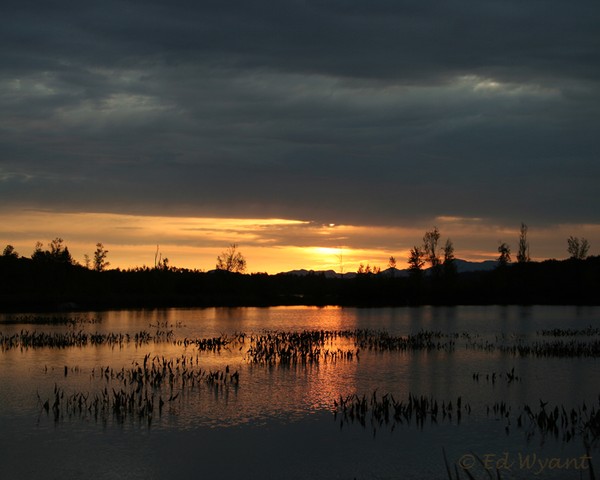 Adirondack Sunrise