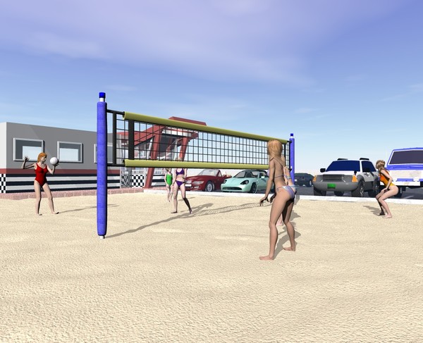 Volleyball Game