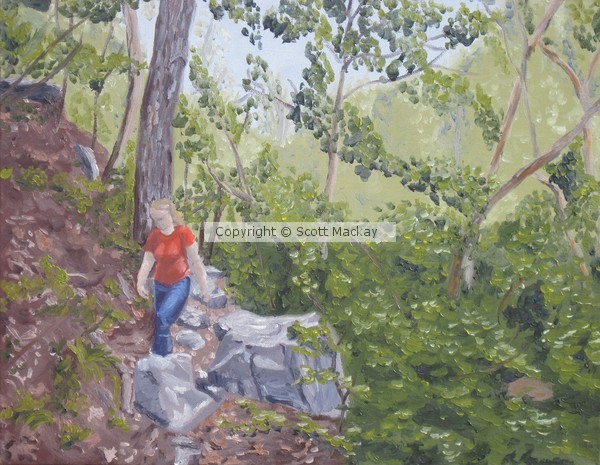 The Hiker