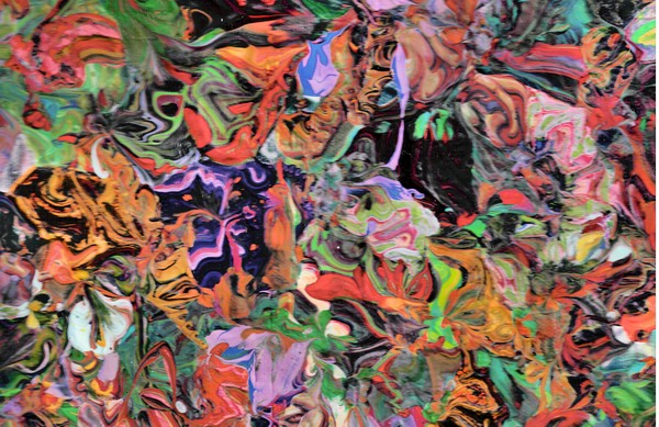 tropical forest
