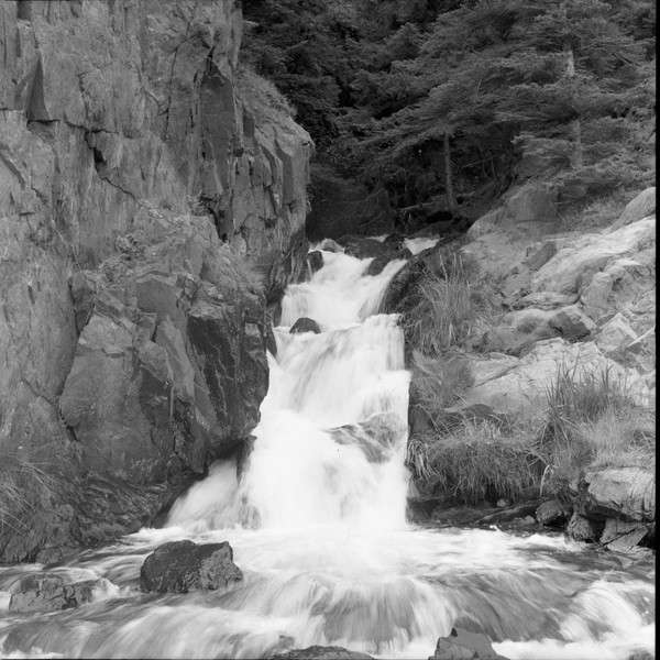 McHugh Creek