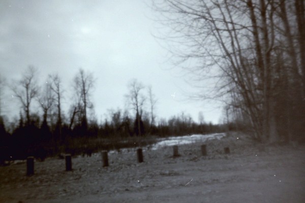 The Park