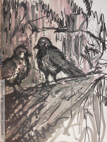 Bird Study #1