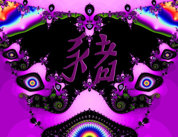 Year of the Boar