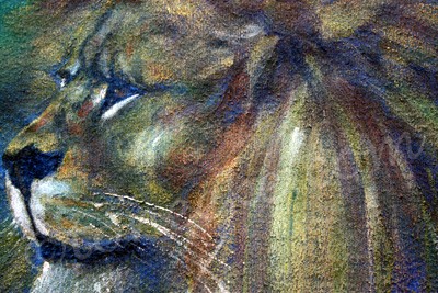 Majestic Friend...SOLD