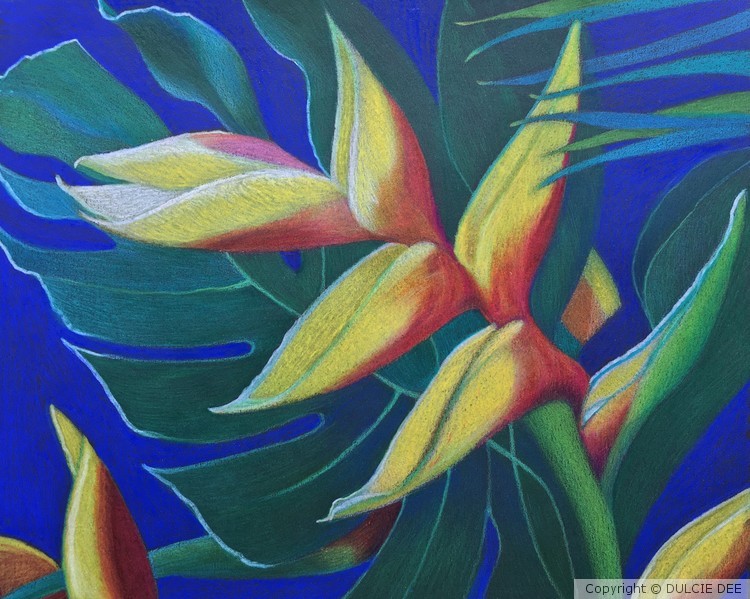 HELICONIA