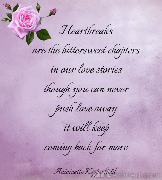Endless Echoes of Love