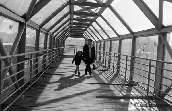 a walk through generations