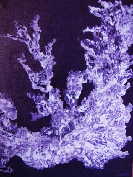 Coral