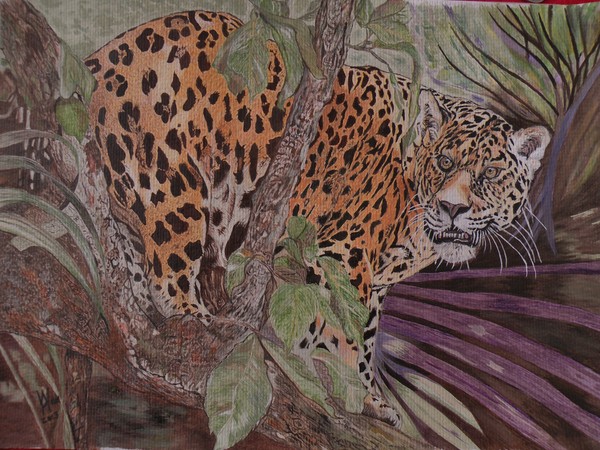An endangered Jaguar