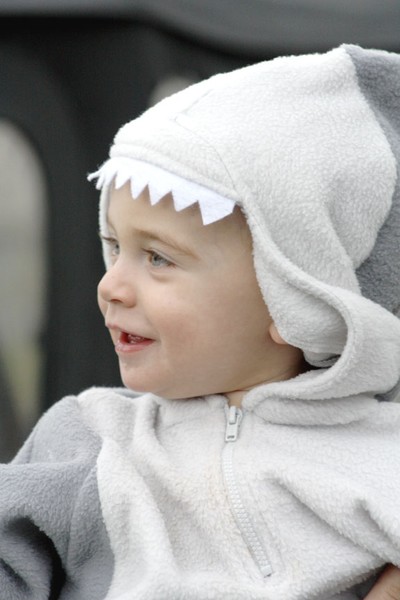 SHARK!
