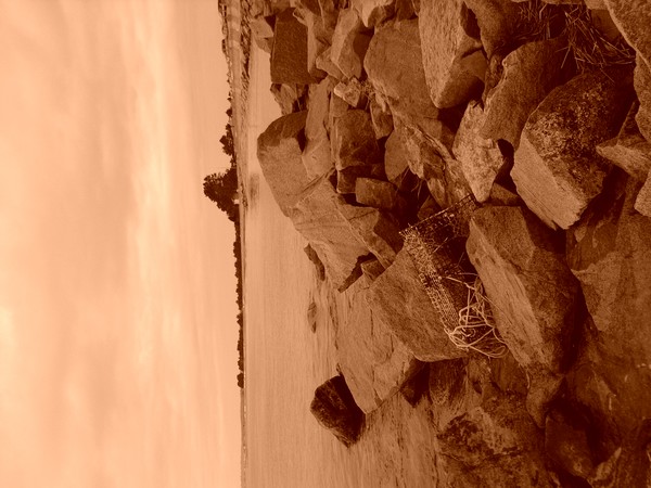 rocks