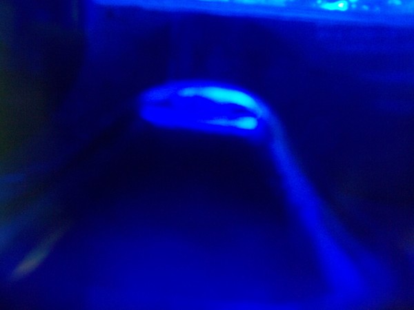 Color Series Blue 353