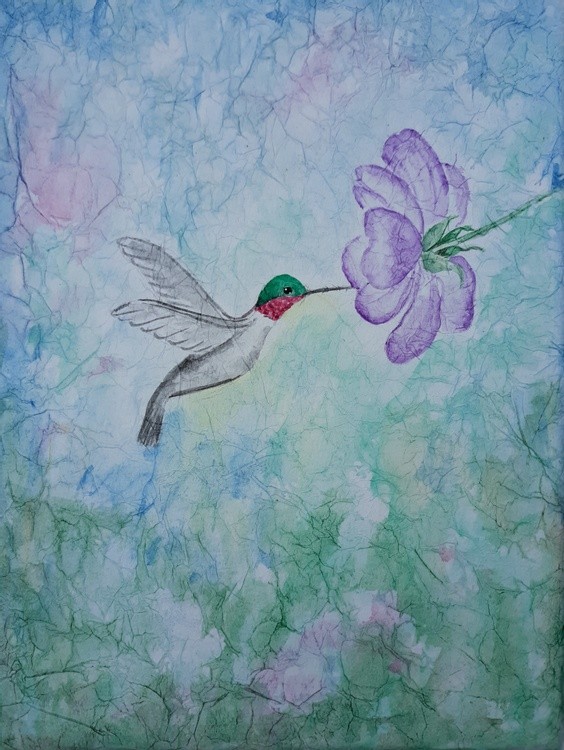 Humming Bird