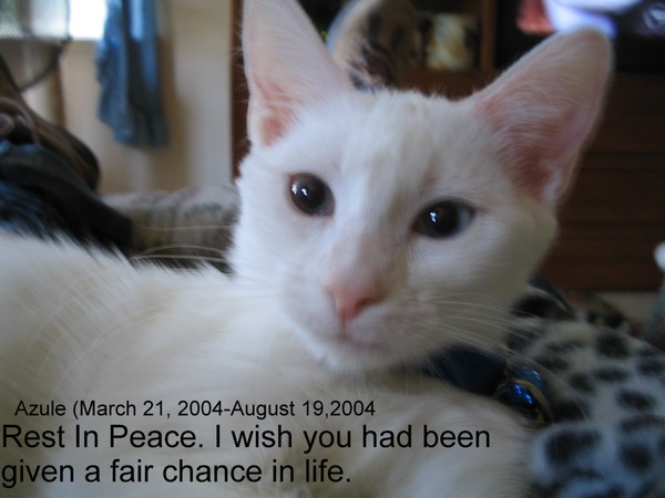 R.I.P.