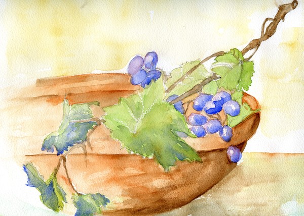 Grapes Watercolor Sketch
