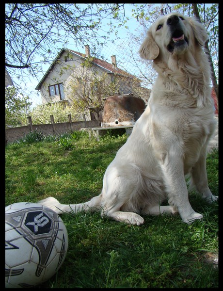 lola