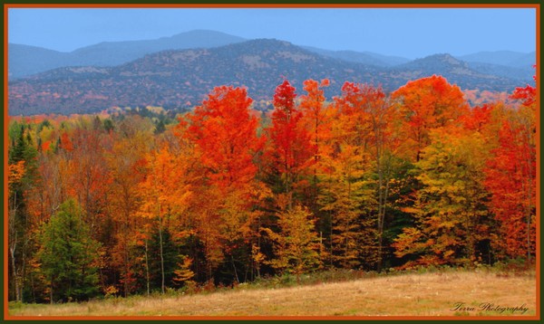 Autumn Drive with Double Border