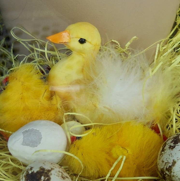 HAPPY EASTER HOLLIDAYS !