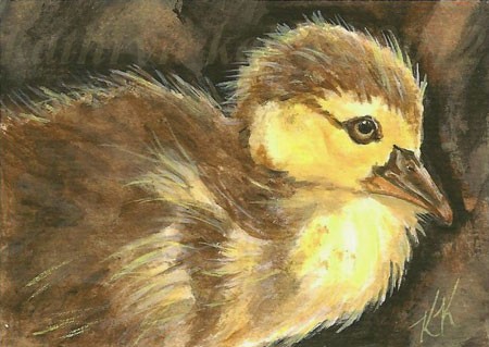 Duckling ACEO