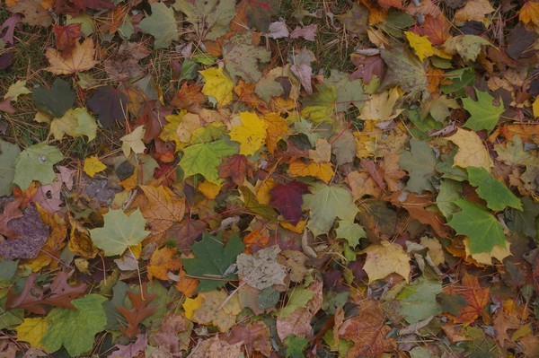 A splash of colour