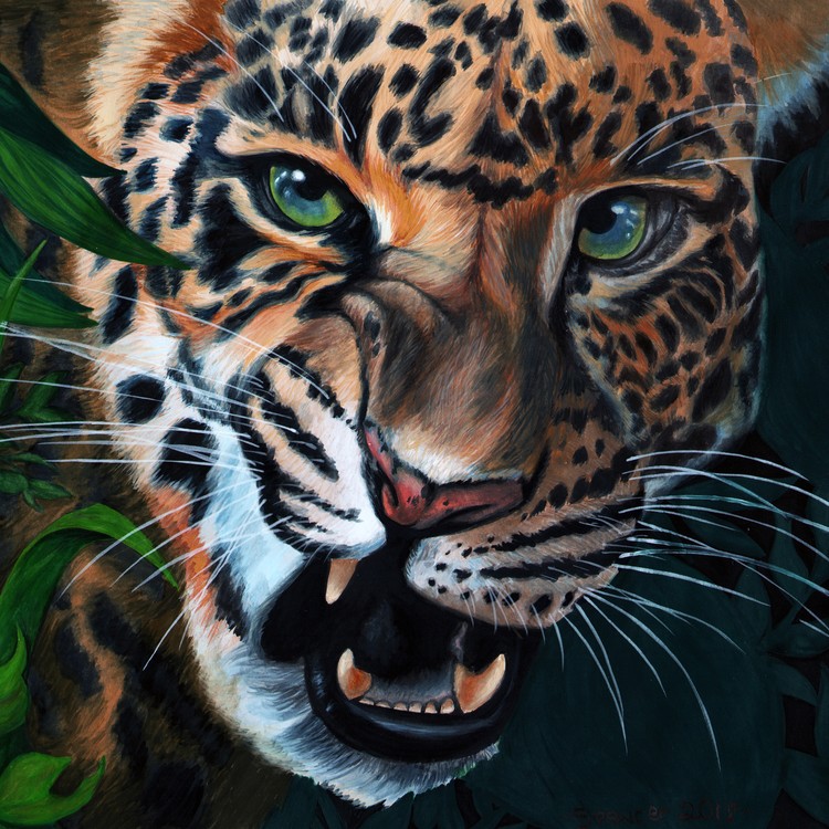 Leopard Growling