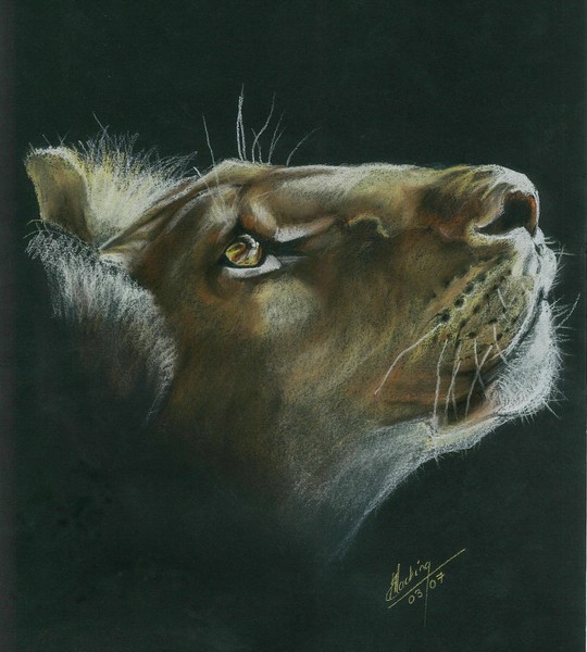 Lion Sketch Complete