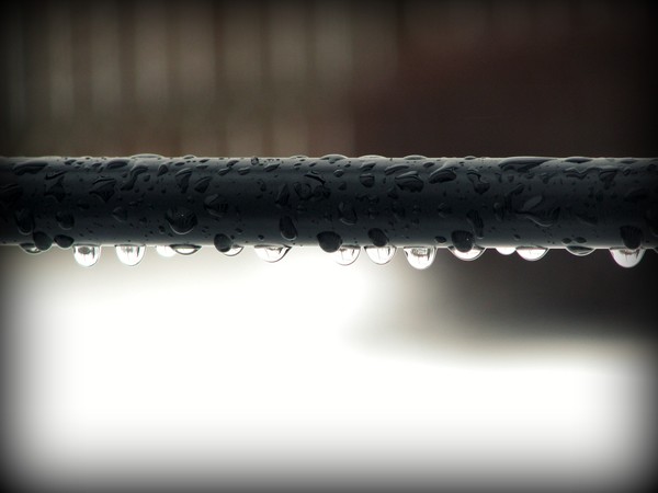Rainy Day