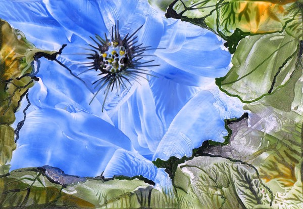 Blue Poppy