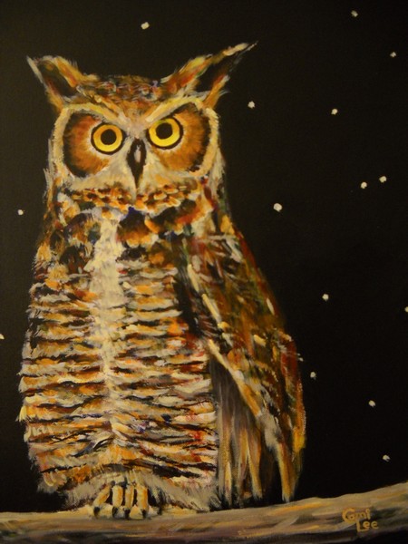 Night Owl