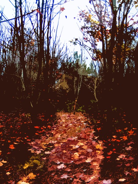 Autumn Leaves