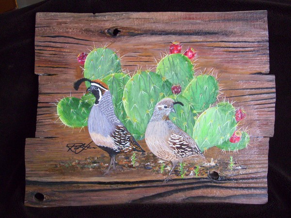 GAMBELS   QUAIL