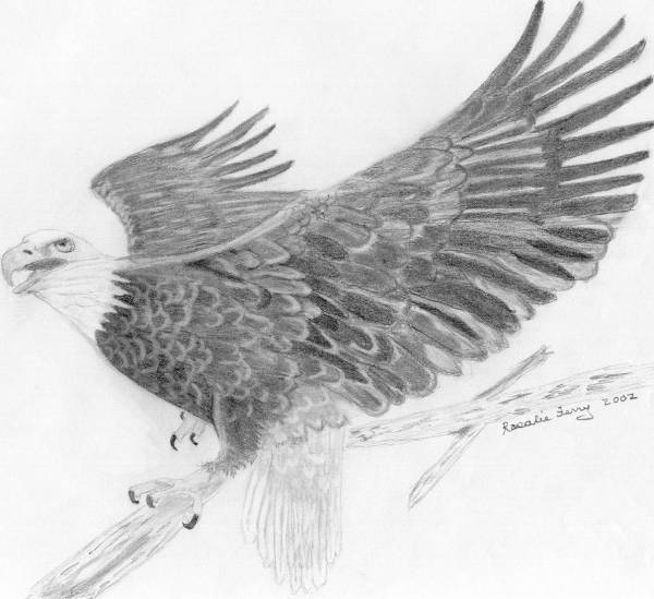 Eagle