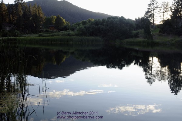Reflection