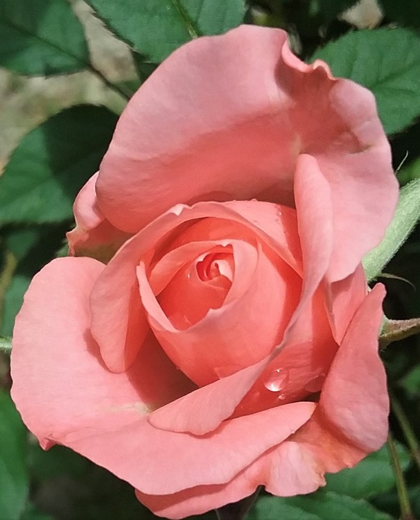 20190519 130535 (2)
